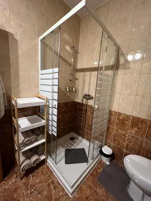 a bathroom with a shower with a sink and a toilet at CentralPark Suites in Maribor