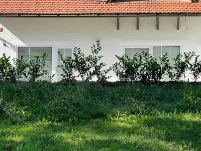 a house with some bushes in front of it at CentralPark Suites in Maribor