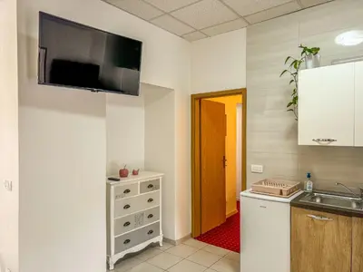 a kitchen with a sink and a tv on the wall at Apartmaji Vogelnik in Radovljica