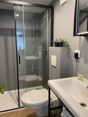 a bathroom with a shower and a toilet and a sink at Maja's Sunrise Haven in Mala Nedelja