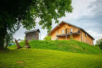 a wooden house on top of a grassy hill at Apartma Farm Bliss in Zgornja Velka