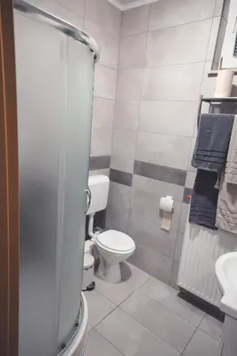 a small bathroom with a toilet and a sink at Apartments & rooms Ksenya in Spodnja Hajdina
