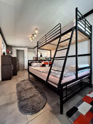 a bunk bed in a room with a rug at Štibelc FRIDA in Izlake