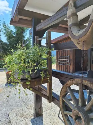 a potted plant sitting on top of a wooden cart at Štibelc FRIDA in Izlake