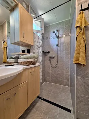 a bathroom with a shower and a sink at Štibelc FRIDA in Izlake
