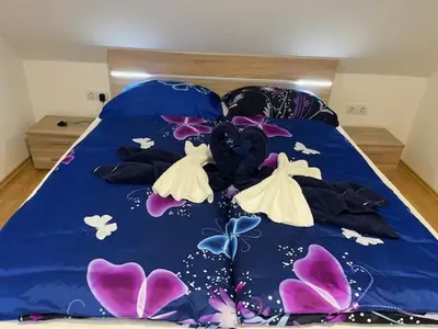 a bed with a blue comforter with butterflies on it at FAMILY HOUSE Pri Kovaču in Soča