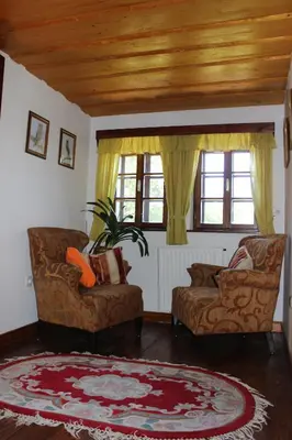 a living room with two chairs and a rug at Na Gmajni pr' Angležu in Gabrovka