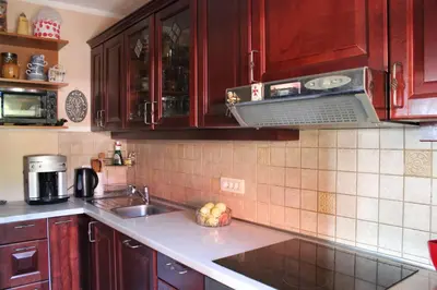 a kitchen with wooden cabinets and a sink at Na Gmajni pr' Angležu in Gabrovka