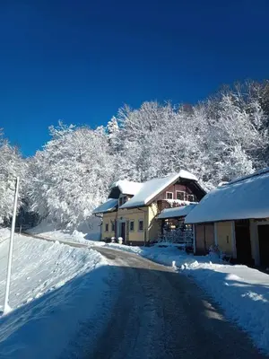 a house with snow covered trees on a snowy road at Na Gmajni pr' Angležu in Gabrovka