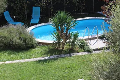 a pool with two chairs and a palm tree in a yard at Drift Rock House in Sežana