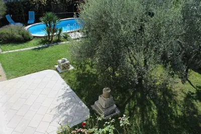 an overhead view of a garden with a tree and a swimming pool at Drift Rock House in Sežana
