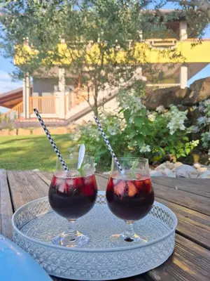two glasses of drink on a plate on a table at Apartments Štrancar wines in Ajdovščina