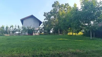 a building in a field with trees and grass at Hiša nad vinogradom in Ptuj