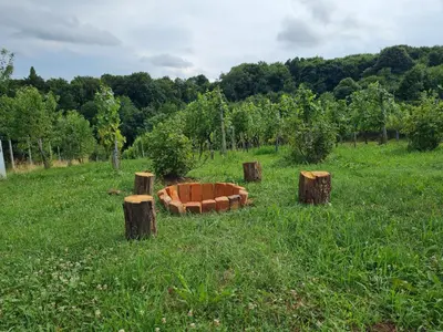 a garden in a field with tree stumps at Hiša nad vinogradom in Ptuj