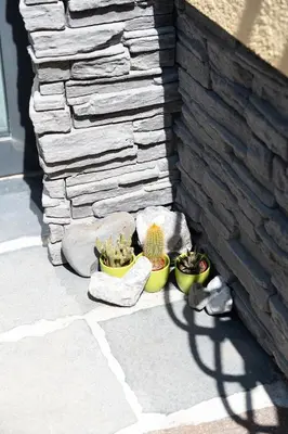 two potted plants sitting next to a stone wall at Studio M&M in Nova Gorica