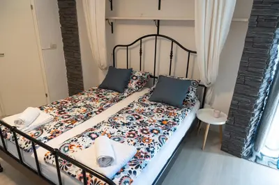 a bed with a floral comforter and blue pillows at Studio M&M in Nova Gorica