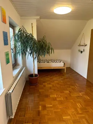 a room with a potted plant in the middle of it at green breeze - private jacuzzi retreat in Žalec