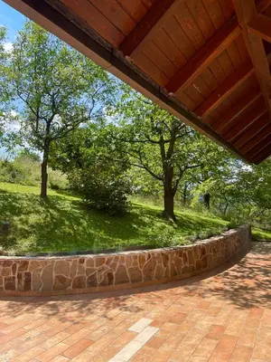 an outdoor patio with a stone wall and trees at green breeze - private jacuzzi retreat in Žalec
