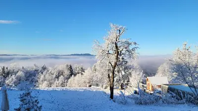 a snow covered field with a house and a tree at Glamping Na Vrhu in Višnja Gora