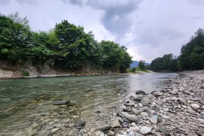a river with rocks and trees on the side at ZenHouseApartment in Ljubno