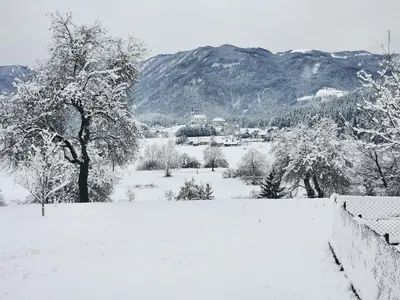 a snow covered field with trees and a mountain at ZenHouseApartment in Ljubno