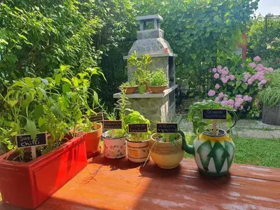 a group of potted plants sitting on a table at Green Garden Home in Cerknica