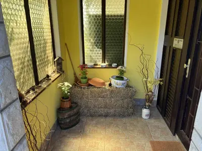 a porch with potted plants on the windows of a house at Green Garden Home in Cerknica