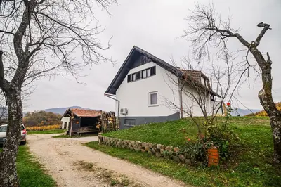a white house on a hill next to a dirt road at Apartment Trta with Vineyard View in Bistrica ob Sotli