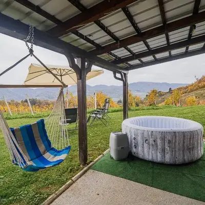 Apartment Trta with Vineyard View