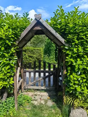 a wooden gate in front of a hedge at Hiša Hortenzija Luče in Luče