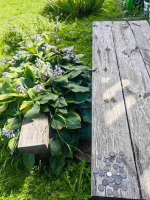 a wooden bench sitting next to a bunch of flowers at Hiša Hortenzija Luče in Luče