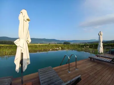 a view of a pool with a wooden deck and water at Glamping Maleric with Natural Pool in Dragatuš