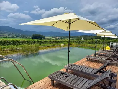 two lounge chairs and an umbrella on a wooden deck at Glamping Maleric with Natural Pool in Dragatuš
