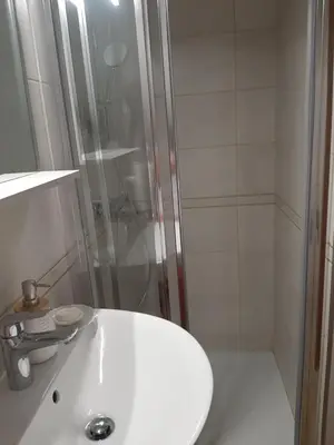 a bathroom with a white sink and a shower at Encijan in Bohinj