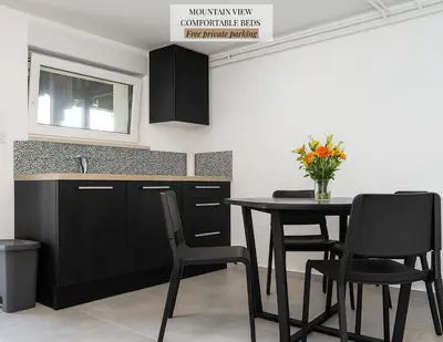 a kitchen with a black table and chairs at Hiša Krn in Kobarid