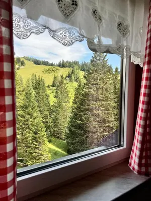 a window with a view of a forest at Apartma v objemu gora - Krvavec in Cerklje na Gorenjskem