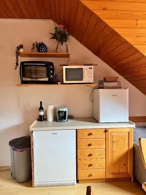 a kitchen with two microwaves and a refrigerator at Apartma v objemu gora - Krvavec in Cerklje na Gorenjskem