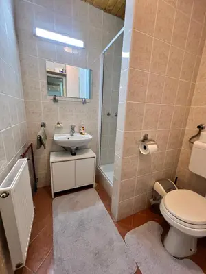 a bathroom with a toilet and a sink and a shower at Apartma v objemu gora - Krvavec in Cerklje na Gorenjskem