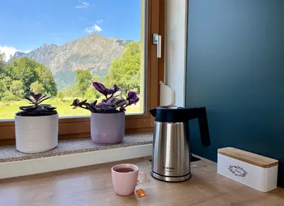 three potted plants sitting on a window sill with a cup of coffee at Cozy & Chic - Apartment with a private patio in Kobarid