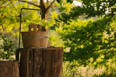 a bird bath sitting on top of a tree stump at Lakeside Glamping Tents Mažijev Grič in Gradišče pri Lukovici