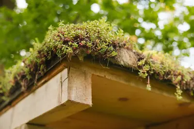 a roof with plants growing on top of it at Lakeside Glamping Tents Mažijev Grič in Gradišče pri Lukovici