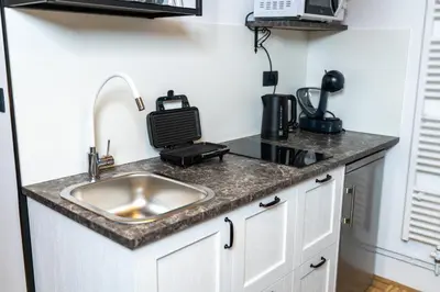 a kitchen counter with a sink and a microwave at Apartmaji Lipa in Bohinj