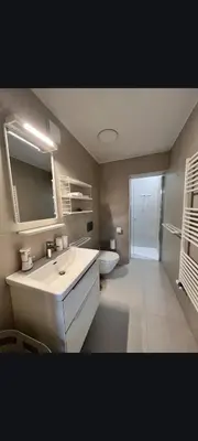 a bathroom with a sink and a toilet and a mirror at Up and above in Kobarid