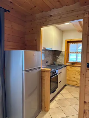 a kitchen with a refrigerator and a stove at Wooden Cottage Baznik with Hot Tub in Cerklje ob Krki