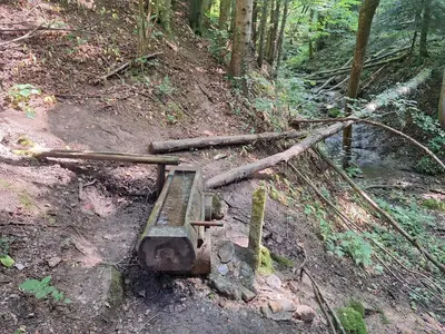 a wooden bench on a dirt trail in the woods at Rural Retreat- Kmečki oddih in Poljčane