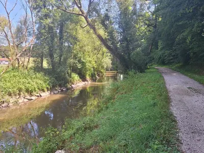 a dirt road next to a river with trees at Rural Retreat- Kmečki oddih in Poljčane