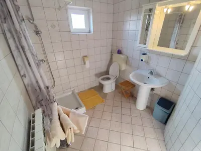 a bathroom with a toilet and a sink at Agritourism Kren in Dobrovo