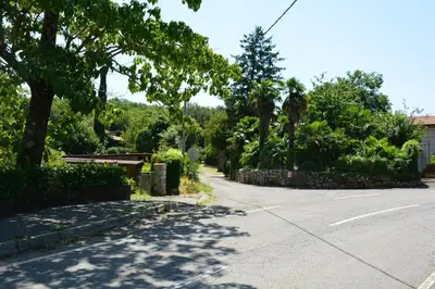 a street with trees on the side of a road at Vila Borealis in Komen