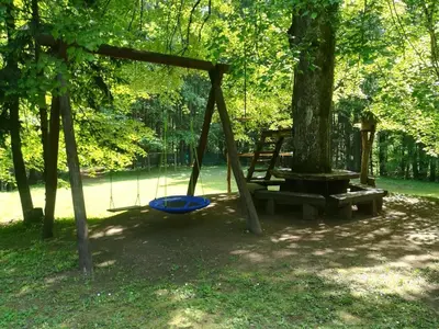 a swing in a park with a tree at Cottage Koča Oaza Preske in Jurklošter