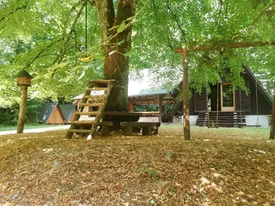 a tree with a ladder next to a house at Cottage Koča Oaza Preske in Jurklošter